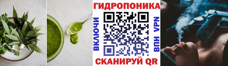 Купить  Княгинино  Canna-Cookies марихуана 