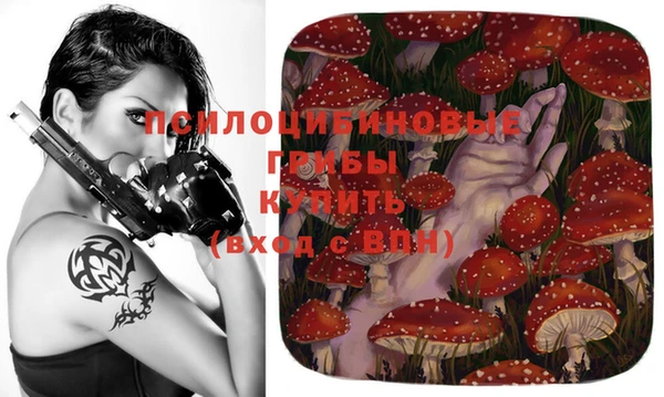 jwh Каменск-Шахтинский