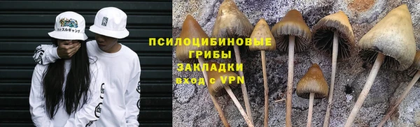 мескалин Каменка