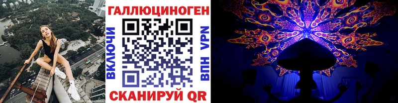 Купить закладки  Княгинино  Псилоцибиновые грибы прущие грибы 